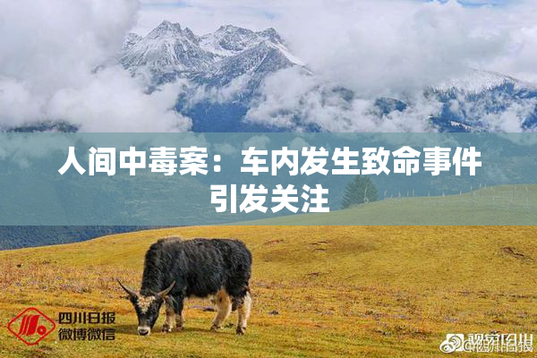 人间中毒案：车内发生致命事件引发关注