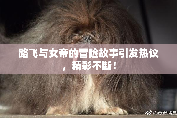 路飞与女帝的冒险故事引发热议，精彩不断！