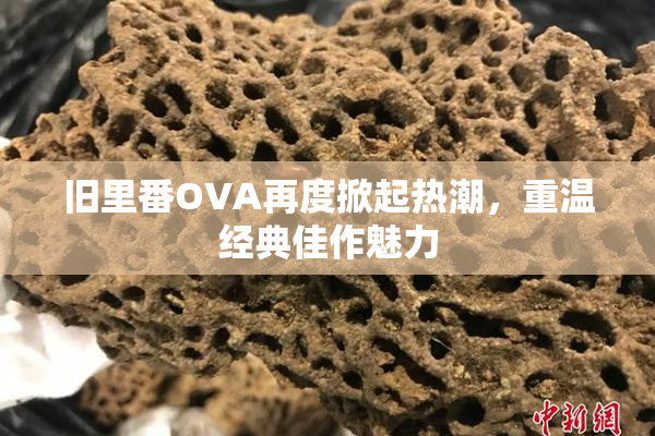旧里番OVA再度掀起热潮，重温经典佳作魅力