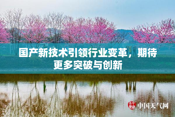 国产新技术引领行业变革，期待更多突破与创新