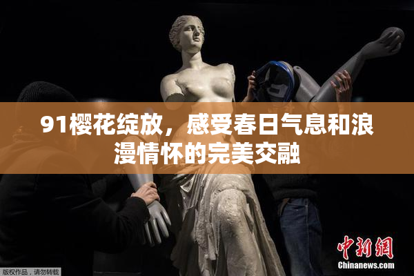 91樱花绽放，感受春日气息和浪漫情怀的完美交融