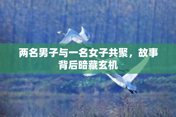 两名男子与一名女子共聚，故事背后暗藏玄机