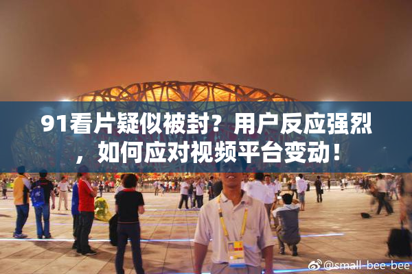 91看片疑似被封？用户反应强烈，如何应对视频平台变动！
