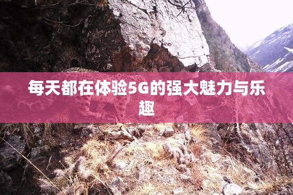 每天都在体验5G的强大魅力与乐趣