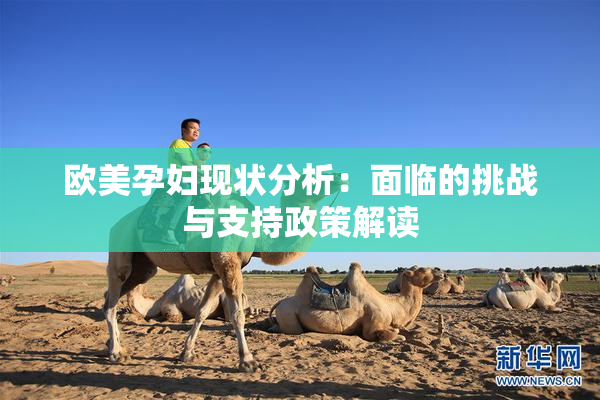 欧美孕妇现状分析：面临的挑战与支持政策解读