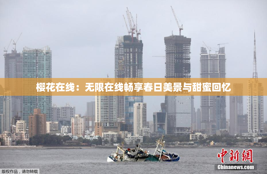 樱花在线：无限在线畅享春日美景与甜蜜回忆