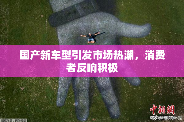 国产新车型引发市场热潮，消费者反响积极