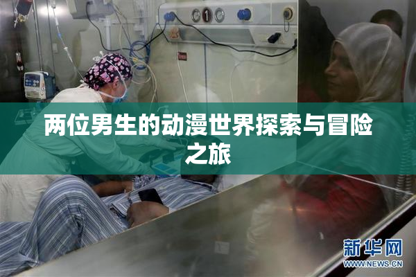 两位男生的动漫世界探索与冒险之旅