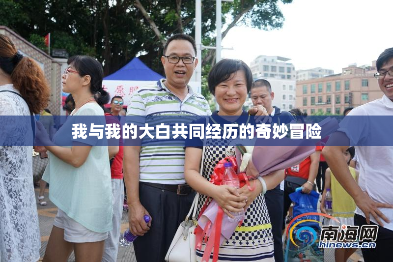 我与我的大白共同经历的奇妙冒险