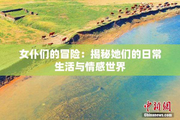 女仆们的冒险：揭秘她们的日常生活与情感世界