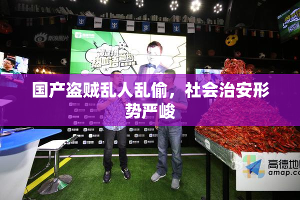 国产盗贼乱人乱偷，社会治安形势严峻