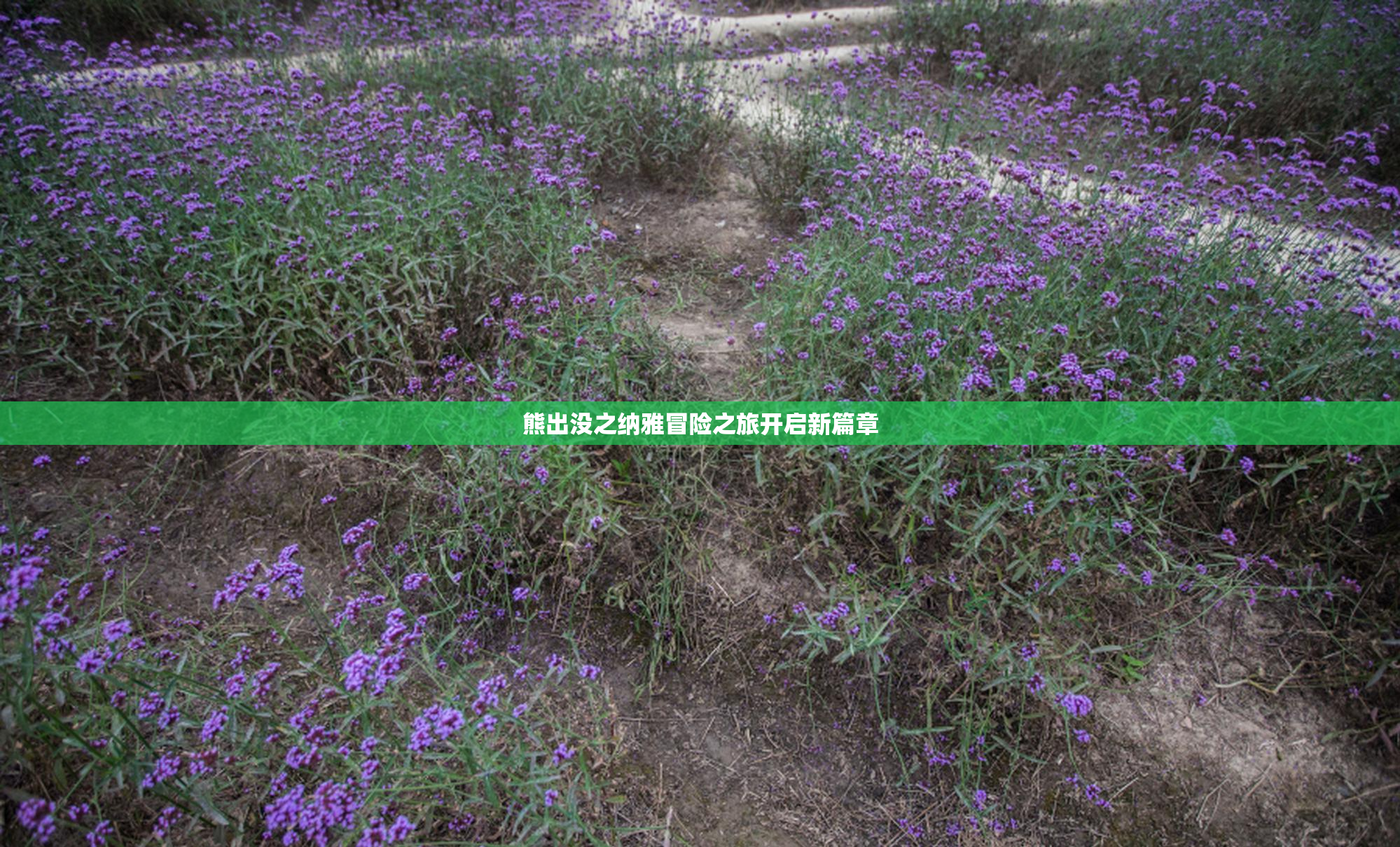 熊出没之纳雅冒险之旅开启新篇章