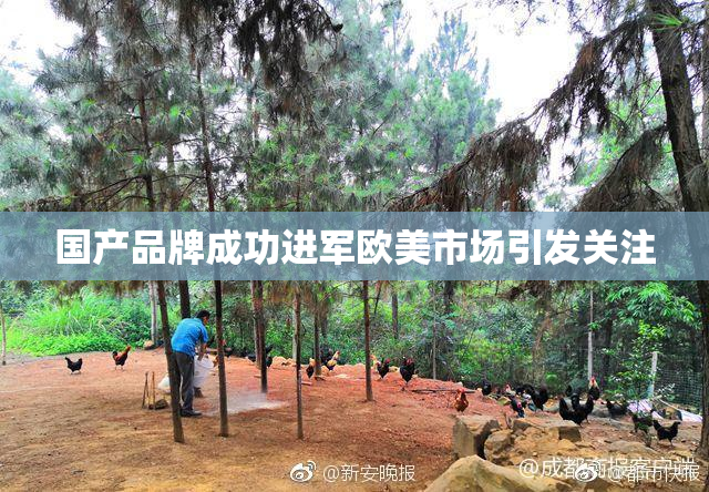国产品牌成功进军欧美市场引发关注