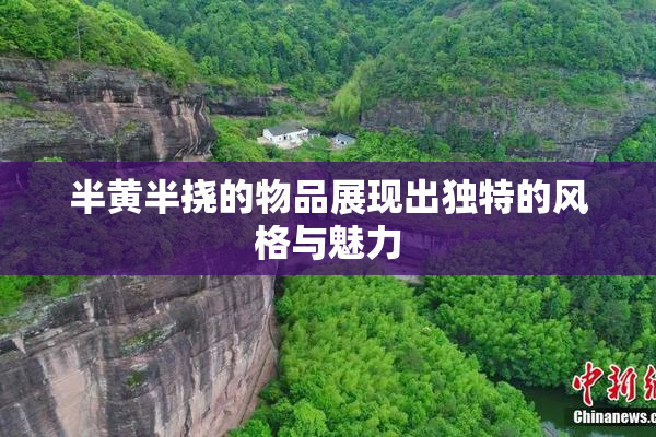半黄半挠的物品展现出独特的风格与魅力