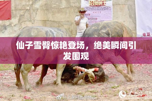仙子雪臀惊艳登场，绝美瞬间引发围观