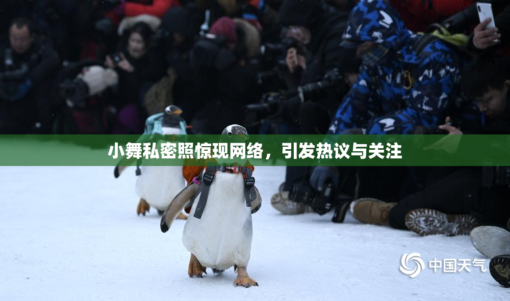 小舞私密照惊现网络，引发热议与关注