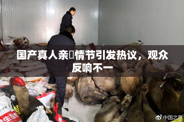 国产真人亲妺情节引发热议，观众反响不一