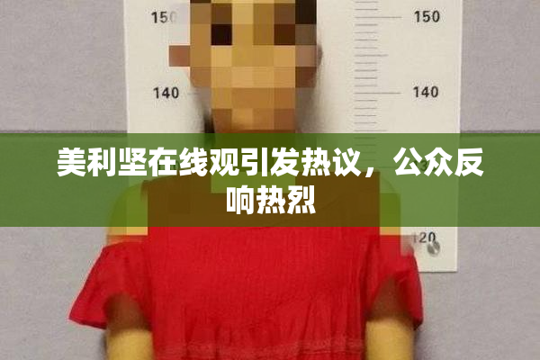 美利坚在线观引发热议，公众反响热烈