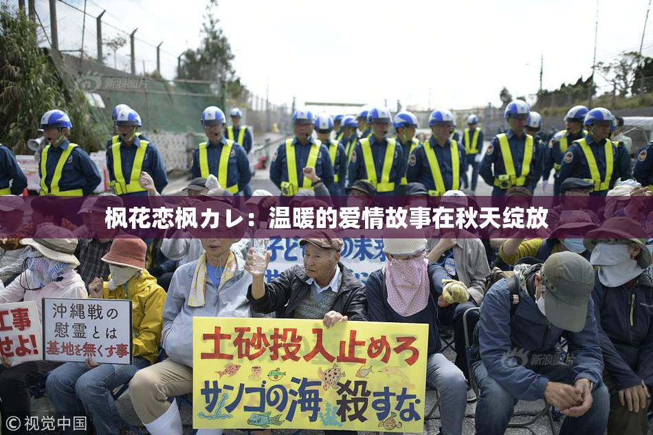 枫花恋枫カレ：温暖的爱情故事在秋天绽放