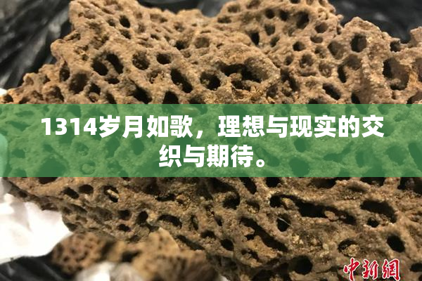 1314岁月如歌，理想与现实的交织与期待。