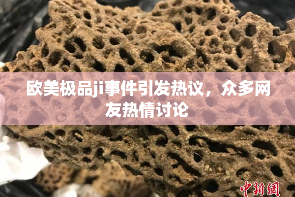 欧美极品ji事件引发热议，众多网友热情讨论