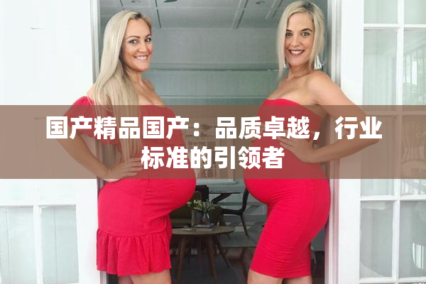 国产精品国产：品质卓越，行业标准的引领者