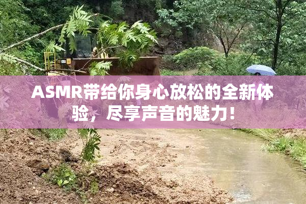 ASMR带给你身心放松的全新体验，尽享声音的魅力！