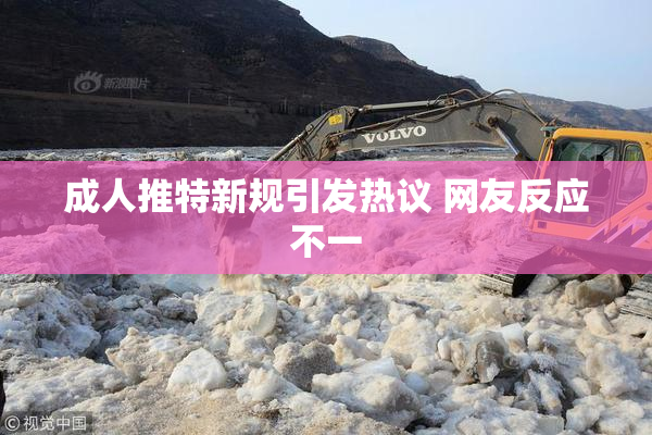 成人推特新规引发热议 网友反应不一
