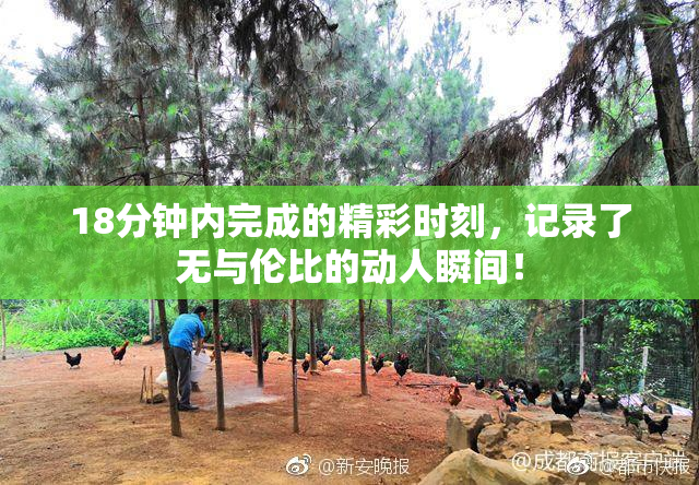 18分钟内完成的精彩时刻，记录了无与伦比的动人瞬间！