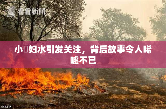 小婬妇水引发关注，背后故事令人唏嘘不已