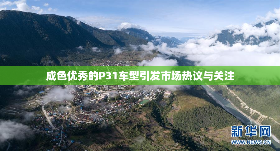 成色优秀的P31车型引发市场热议与关注