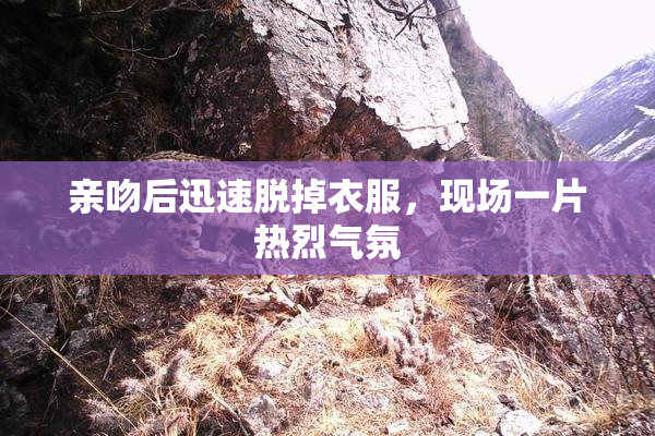 亲吻后迅速脱掉衣服，现场一片热烈气氛