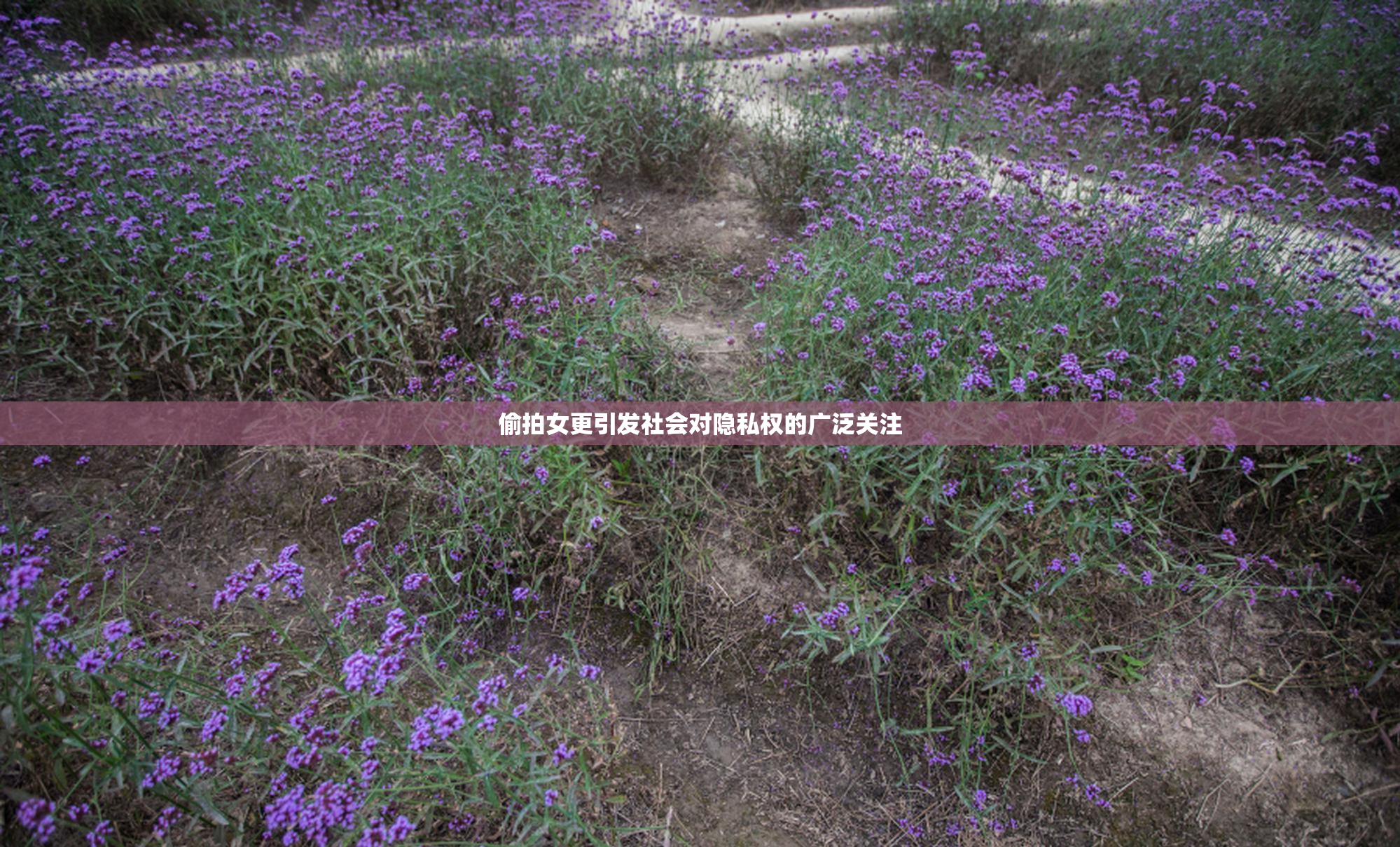 偷拍女更引发社会对隐私权的广泛关注