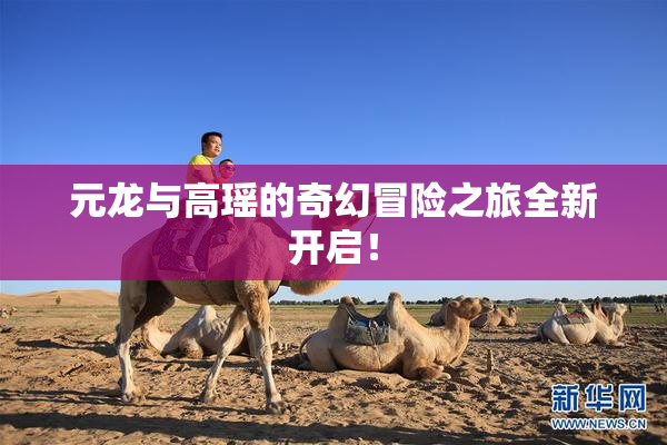 元龙与高瑶的奇幻冒险之旅全新开启！