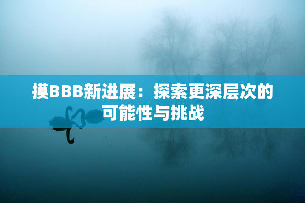 摸BBB新进展：探索更深层次的可能性与挑战