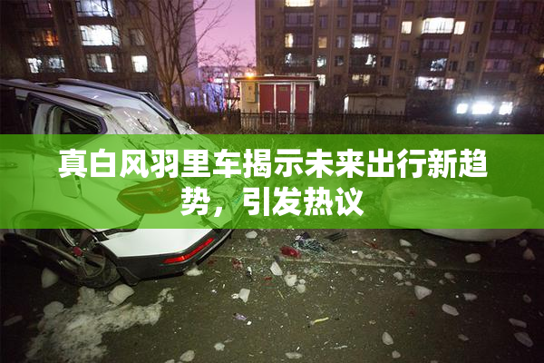 真白风羽里车揭示未来出行新趋势，引发热议