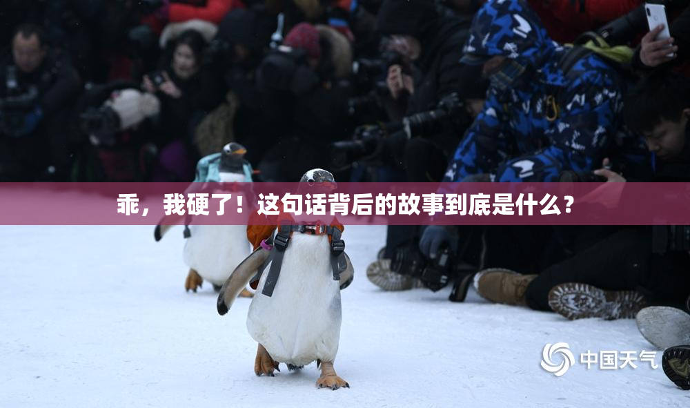 乖，我硬了！这句话背后的故事到底是什么？