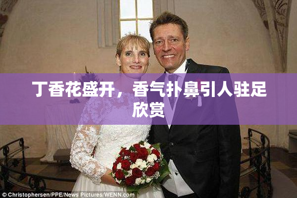 丁香花盛开，香气扑鼻引人驻足欣赏