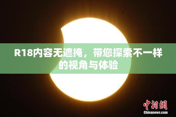 R18内容无遮掩，带您探索不一样的视角与体验