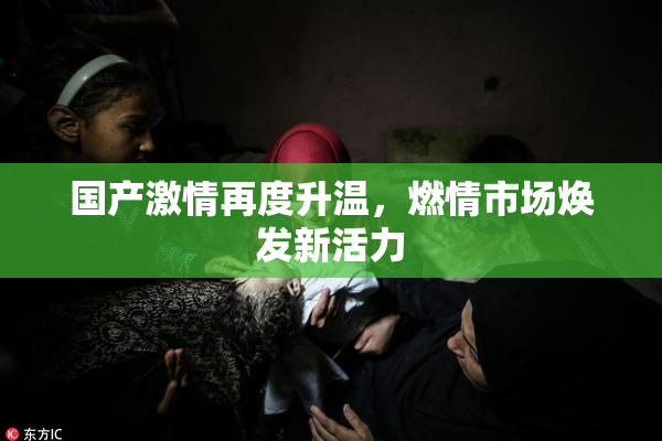 国产激情再度升温，燃情市场焕发新活力