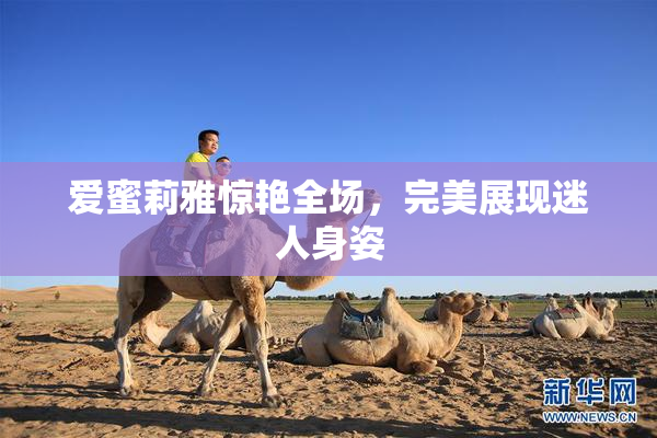 爱蜜莉雅惊艳全场，完美展现迷人身姿