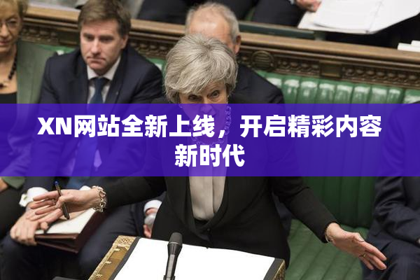 XN网站全新上线，开启精彩内容新时代