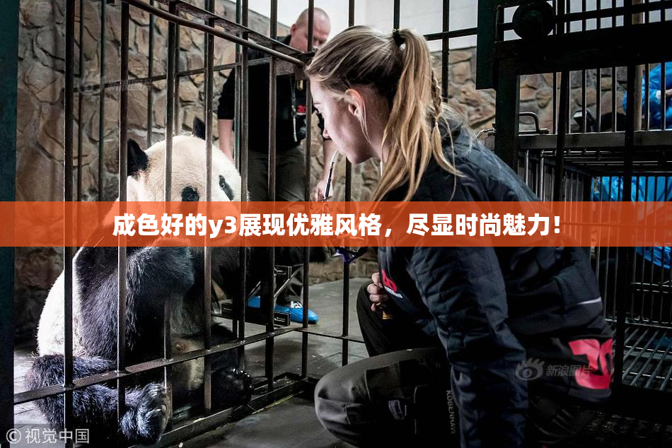 成色好的y3展现优雅风格，尽显时尚魅力！