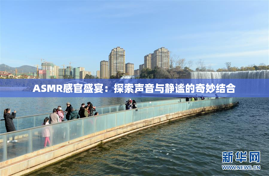 ASMR感官盛宴：探索声音与静谧的奇妙结合