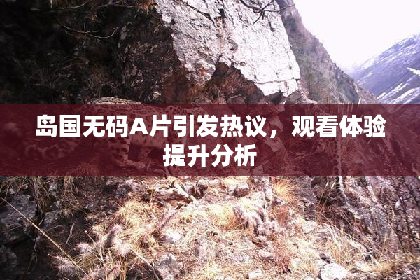 岛国无码A片引发热议，观看体验提升分析