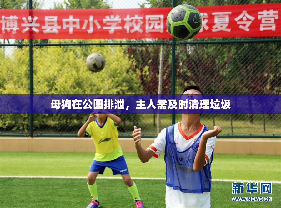 母狗在公园排泄，主人需及时清理垃圾