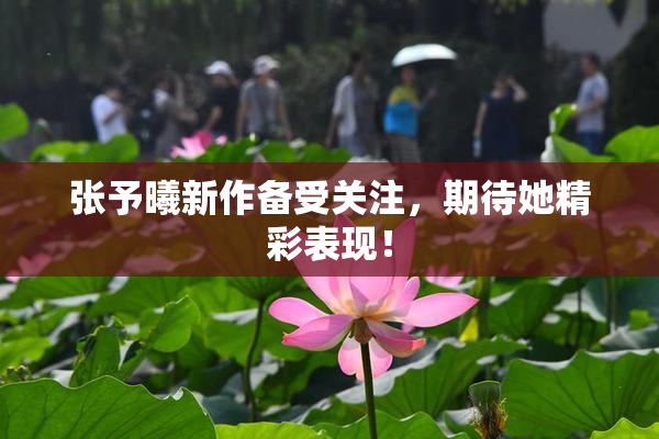 张予曦新作备受关注，期待她精彩表现！