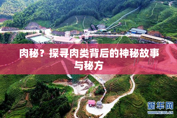 肉秘？探寻肉类背后的神秘故事与秘方