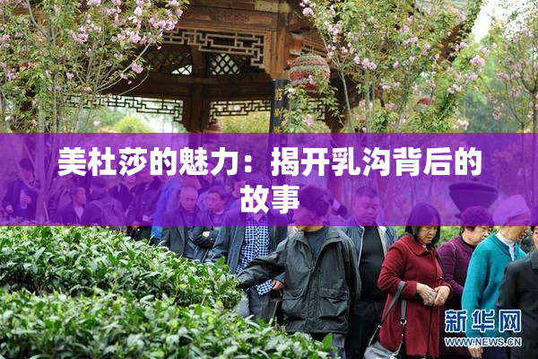 美杜莎的魅力：揭开乳沟背后的故事