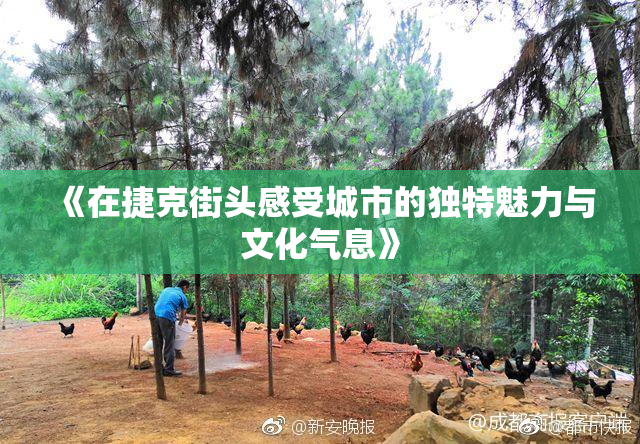 《在捷克街头感受城市的独特魅力与文化气息》